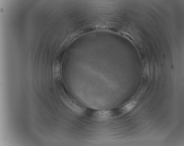 X0000073890526200608180937