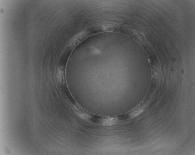 X0000073890527200608180937