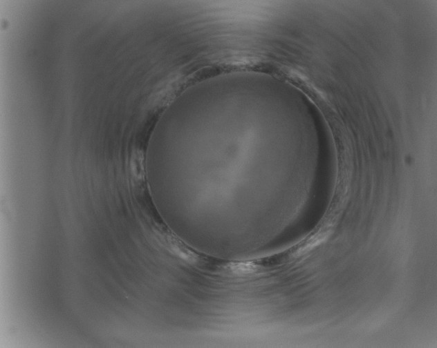 X0000073890528200608180937