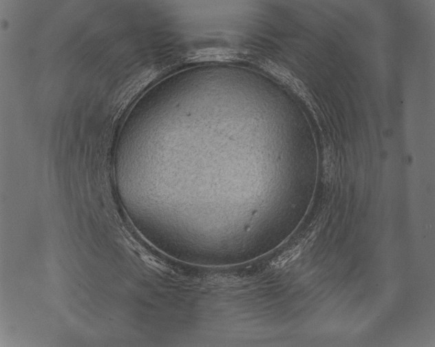 X0000073890529200608180936