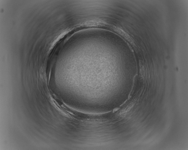 X0000073890530200608180936