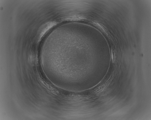 X0000073890531200608180936