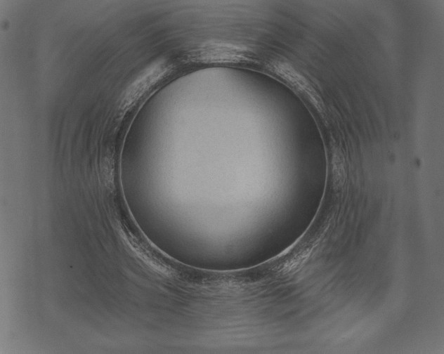 X0000073890533200608180936