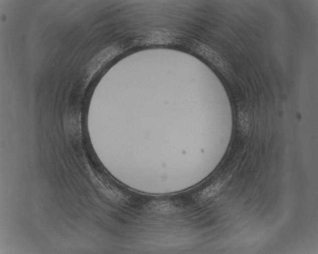 X0000073890534200608180936