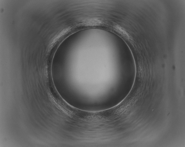 X0000073890535200608180936