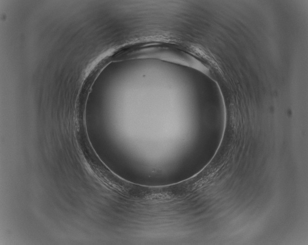 X0000073890536200608180936