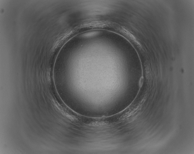 X0000073890537200608180936