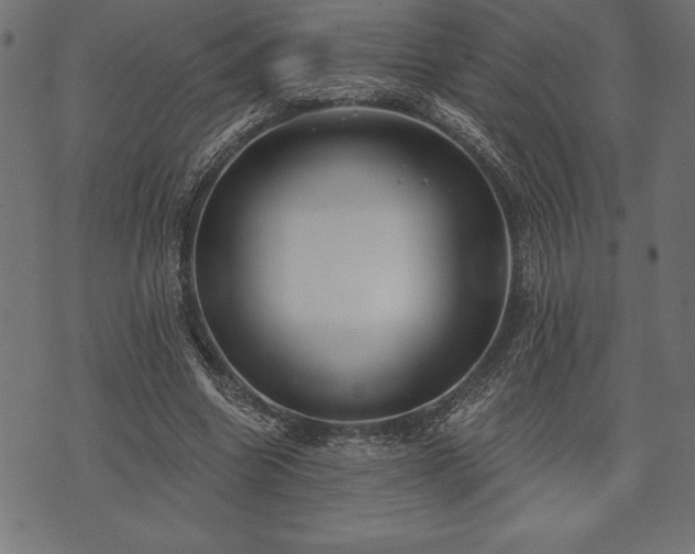 X0000073890538200608180936