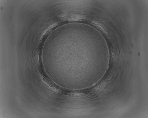 X0000073890539200608180936