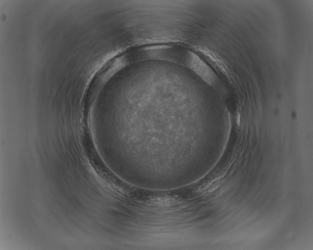 X0000073890540200608180936