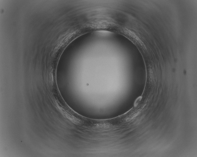 X0000073890541200608180936