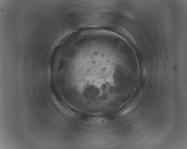 X0000073890542200608180936