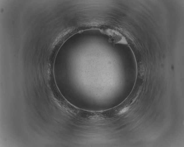 X0000073890544200608180936