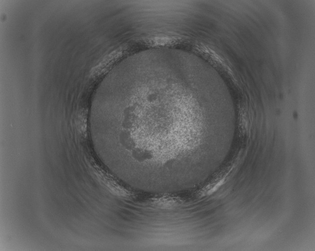 X0000073890545200608180936