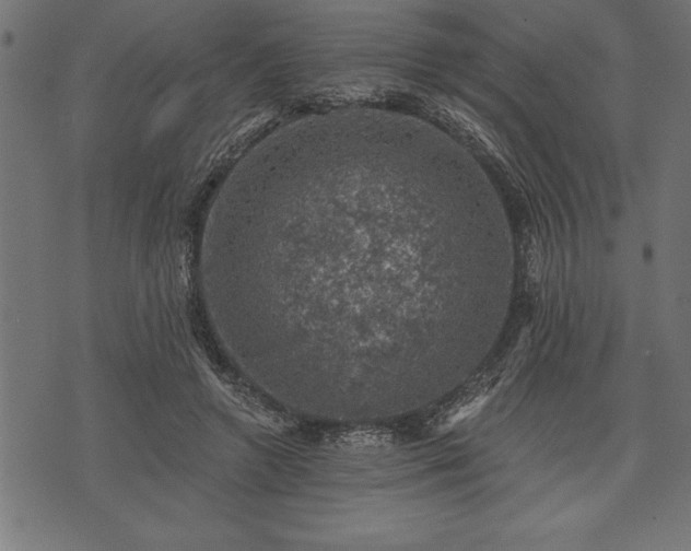 X0000073890546200608180936