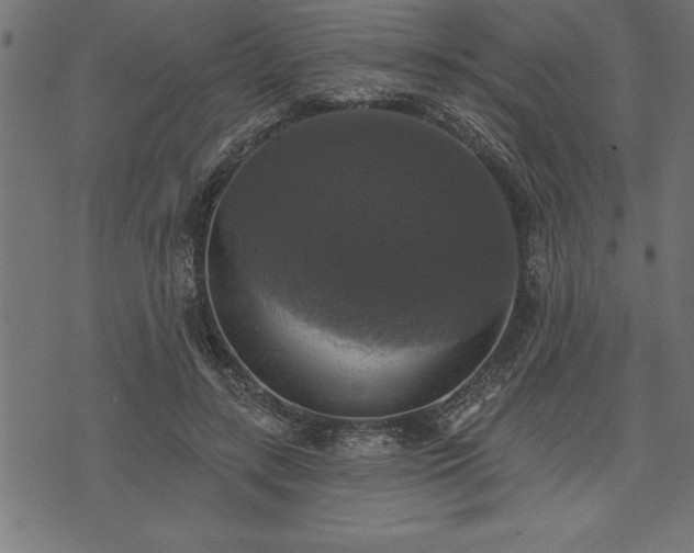 X0000073890547200608180936