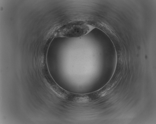 X0000073890548200608180936