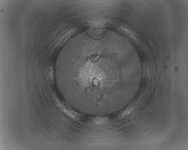 X0000073890549200608180936