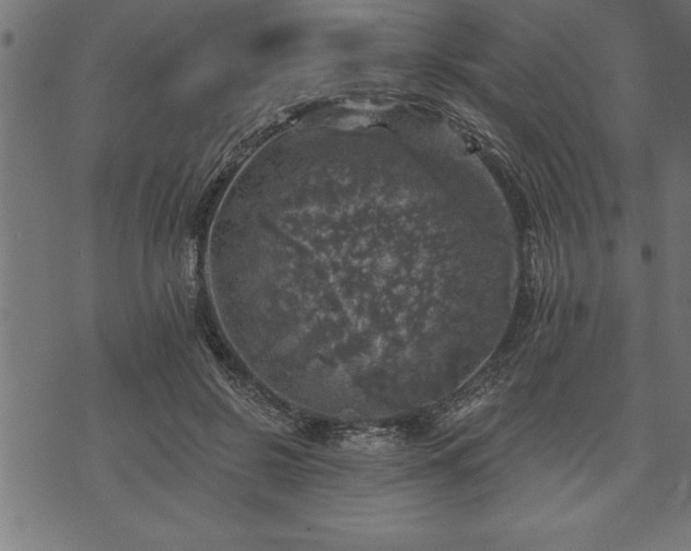 X0000073890550200608180936