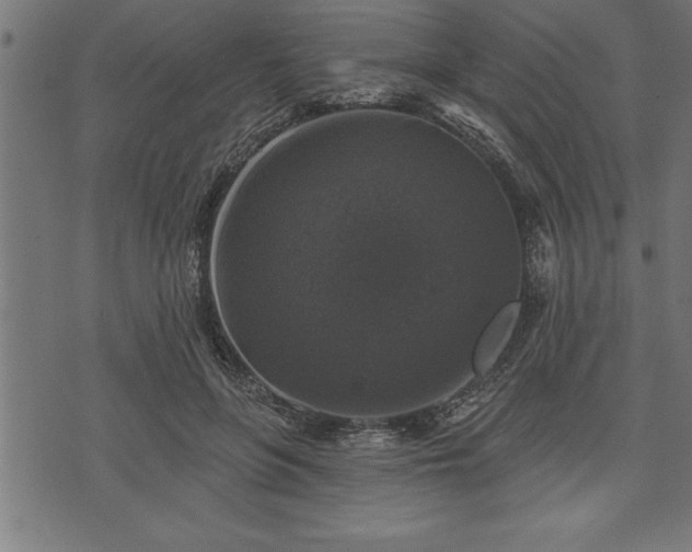 X0000073890551200608180936