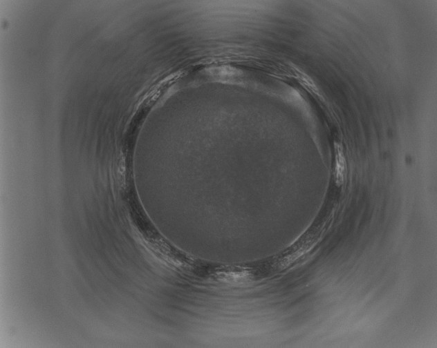 X0000073890552200608180936