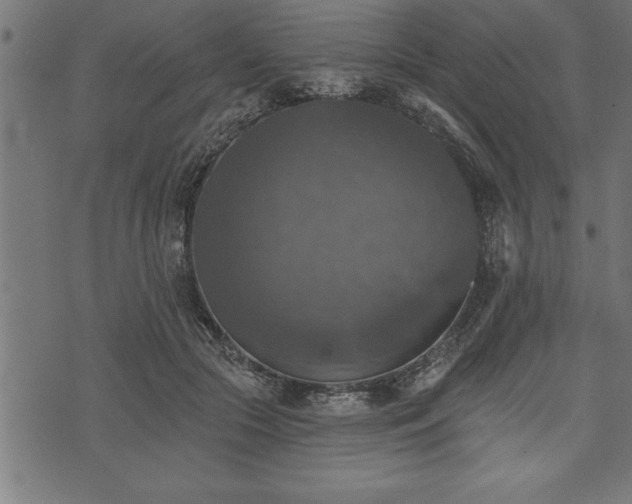 X0000073890553200608180936