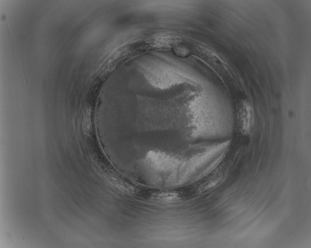 X0000073890554200608180936