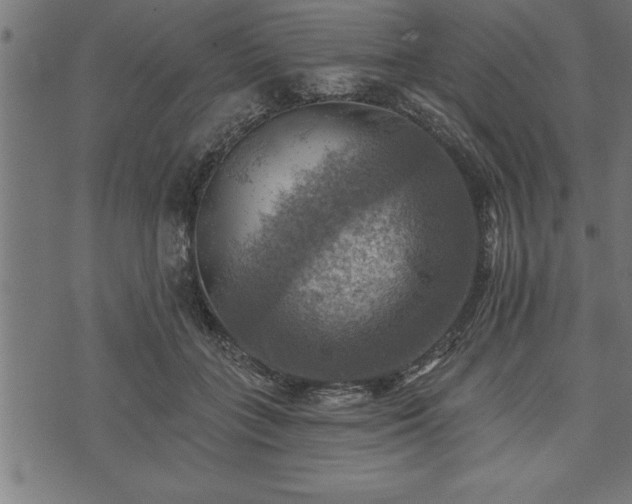 X0000073890555200608180936