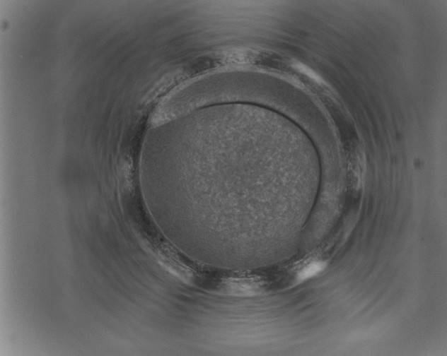 X0000073890556200608180936