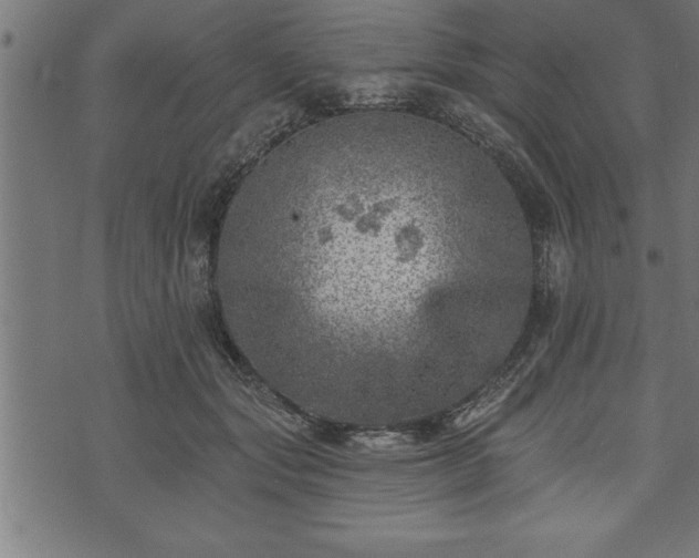 X0000073890557200608180936