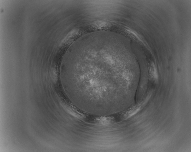 X0000073890558200608180936