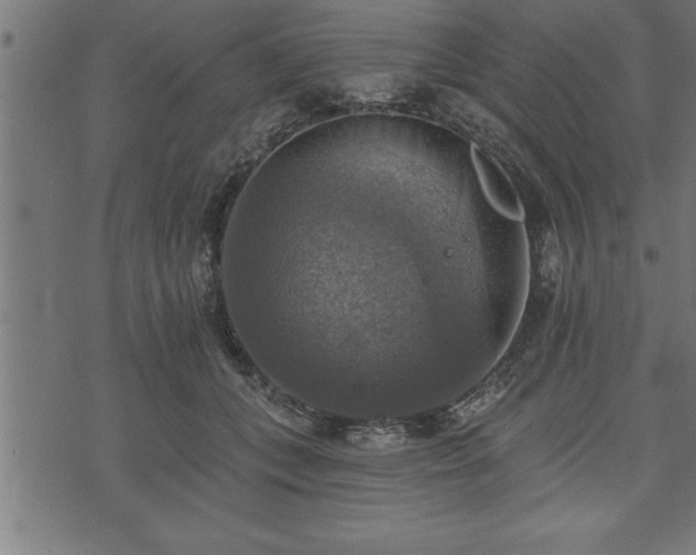 X0000073890559200608180936