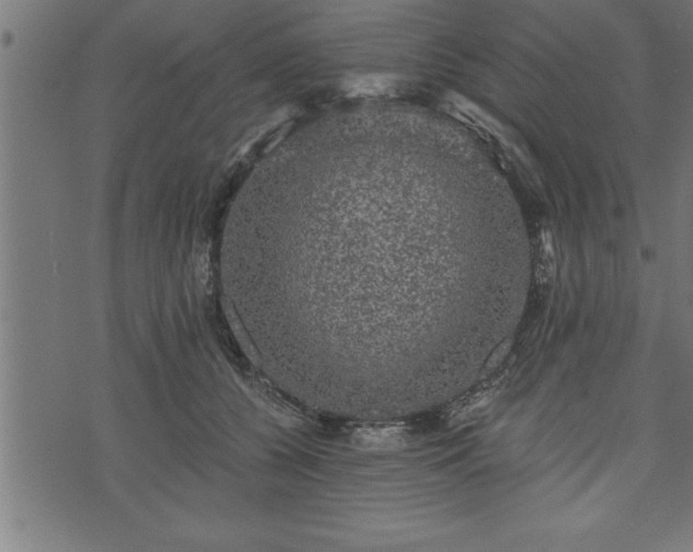 X0000073890560200608180936