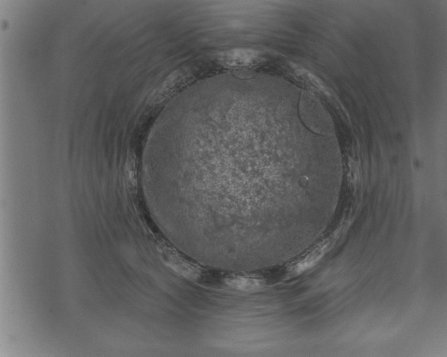 X0000073890561200608180936