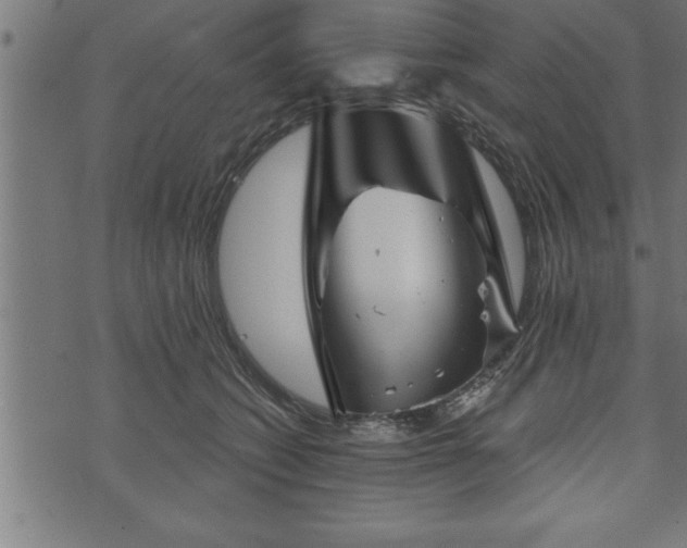 X0000073890562200608180936