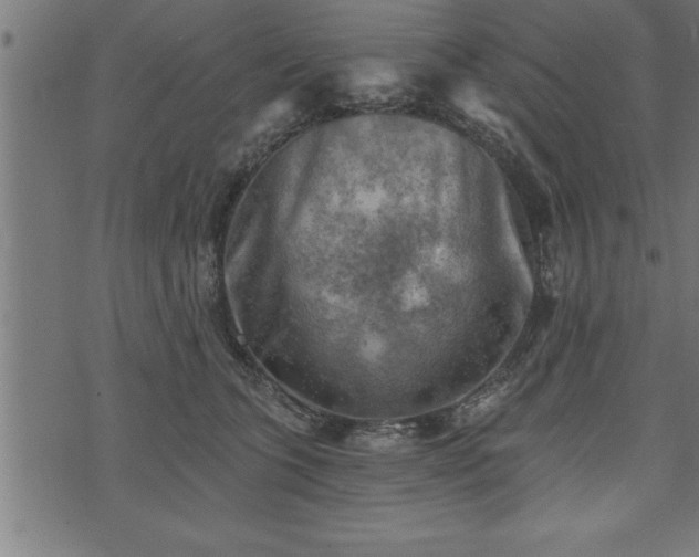 X0000073890563200608180936