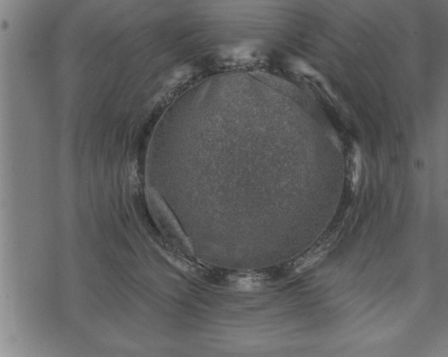 X0000073890564200608180936