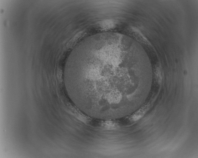 X0000073890565200608180936