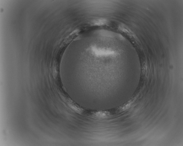 X0000073890566200608180936