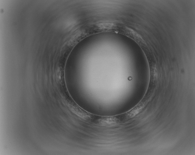 X0000073890567200608180936