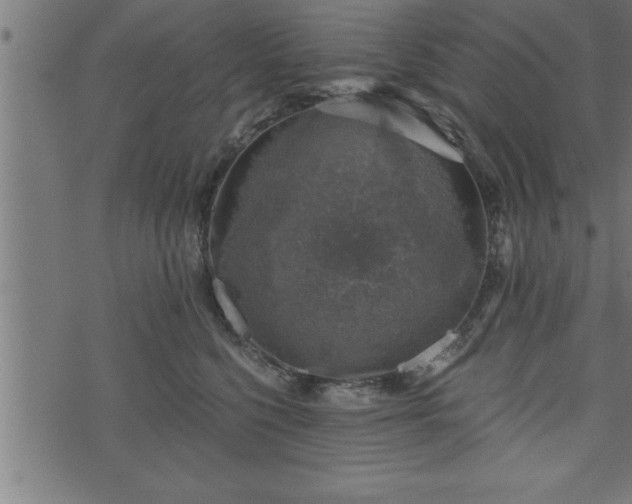 X0000073890568200608180936