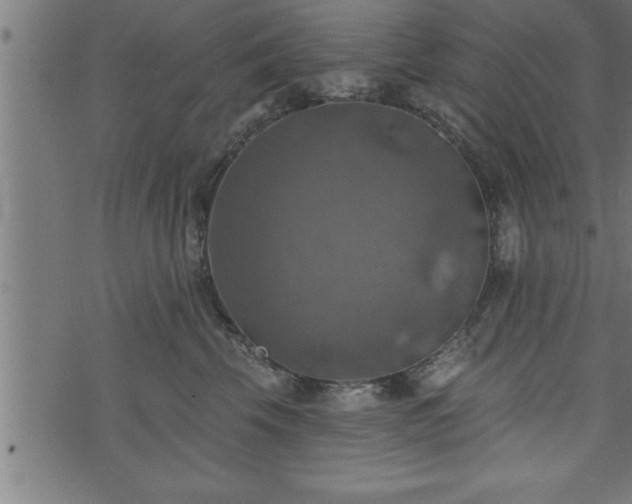 X0000073890569200608180936