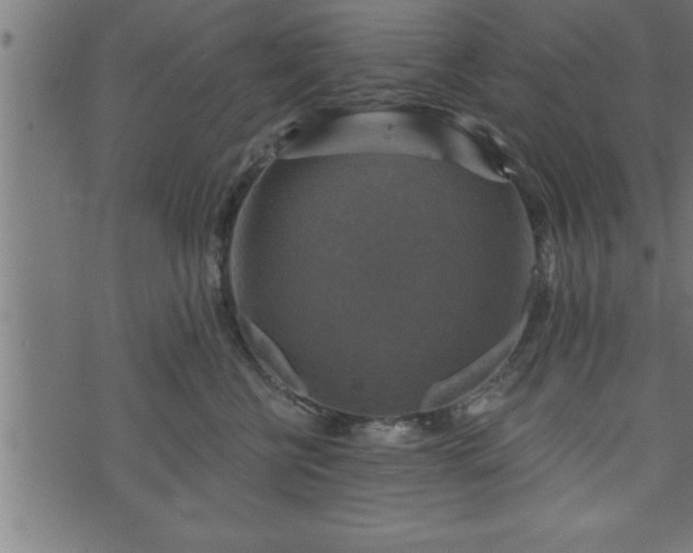 X0000073890570200608180936