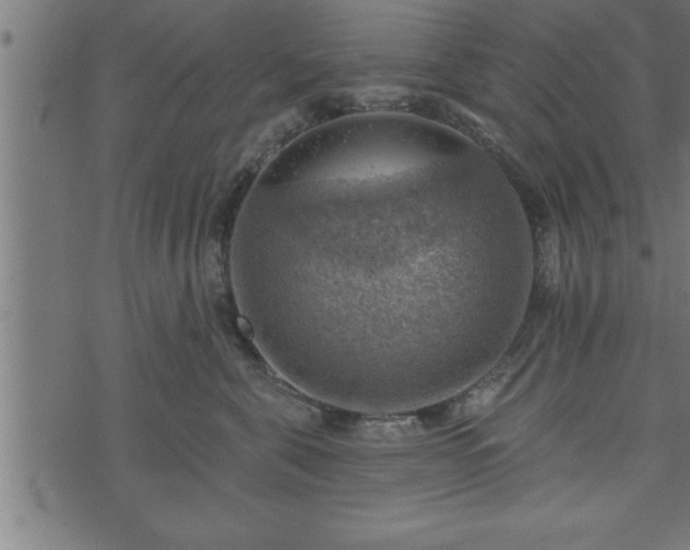 X0000073890571200608180936