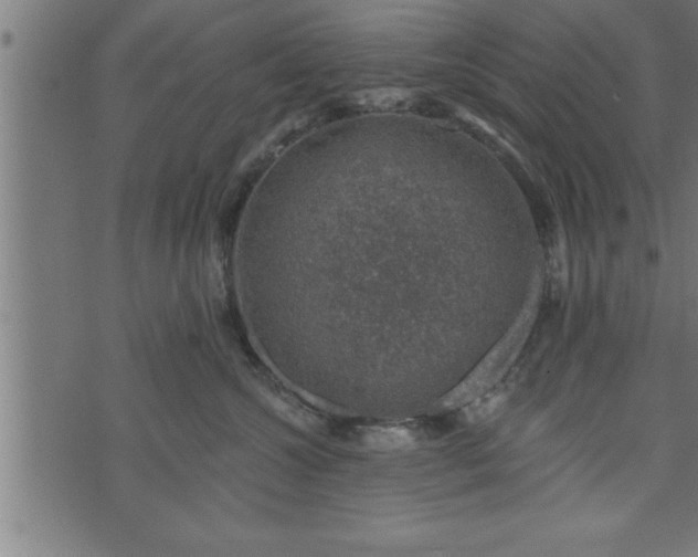 X0000073890572200608180936