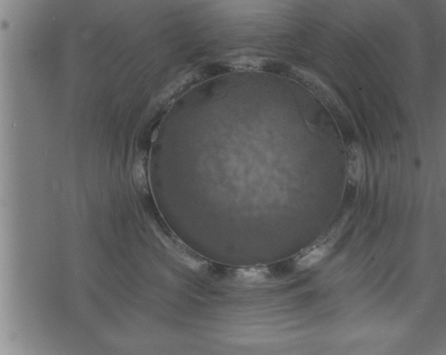 X0000073890573200608180936