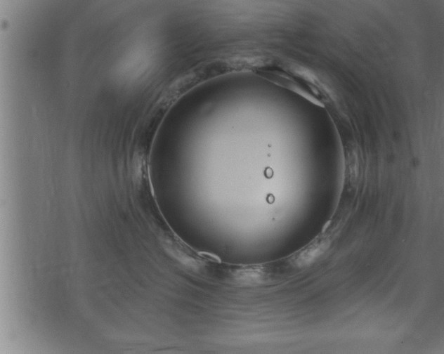 X0000073890574200608180936