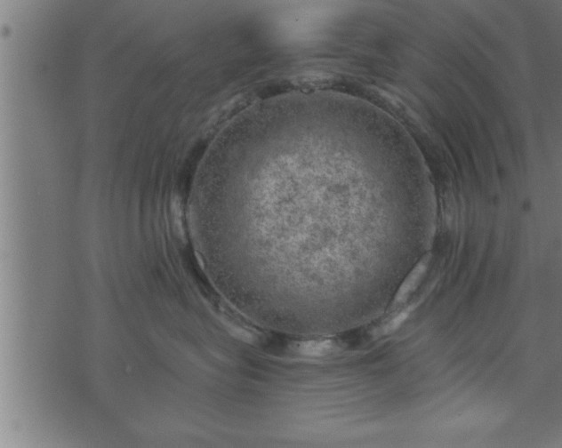 X0000073890575200608180936