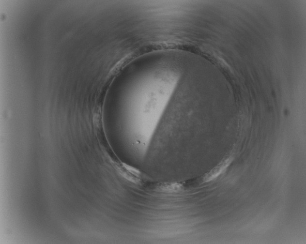 X0000073890576200608180936