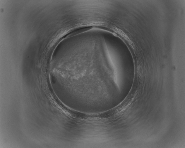 X0000073890577200608180936